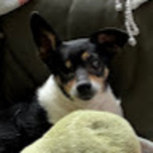 Meet your Posher, Caitlin